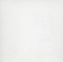 Керамогранит Polcolorit Ardesia Bianco 59.4x59.4