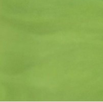 Плитка Polcolorit Arco Verde 30x30 напольная