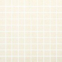 Мозаика Polcolorit Loft beige 30x30