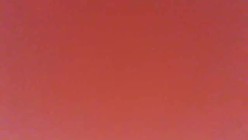 Плитка Polcolorit Styl Red 25x40 настенная