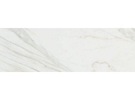 Porcelanite Dos 1204