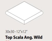 Ступень CSATAWLA02 Top Ang Wild Land 30x30 Sant Agostino