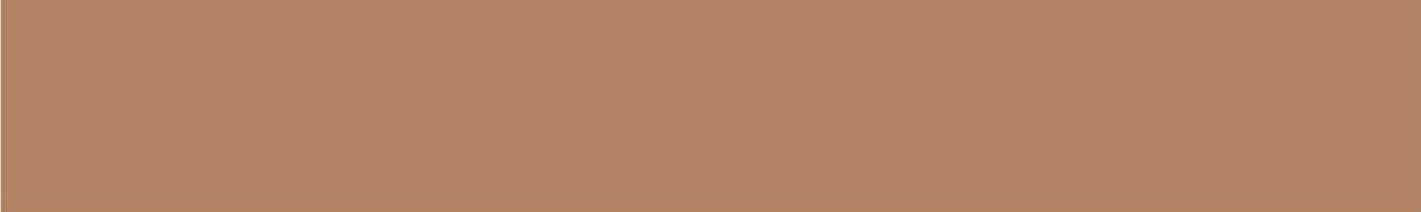 Карандаш TopCer Вставки Strip Color N 04 - Caramel 2.1x13.7 5STP04/1C