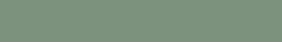 Карандаш TopCer Вставки Strip Color N 28 - Light Green 2.1x13.7 5STP28/1C