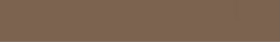 Карандаш TopCer Вставки Strip Color N 29 - Coffee Brown 2.1x13.7 5STP29/1C