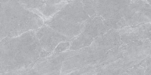 Керамогранит Ascot Grey Matt 601207 60x120 Usak Seramik