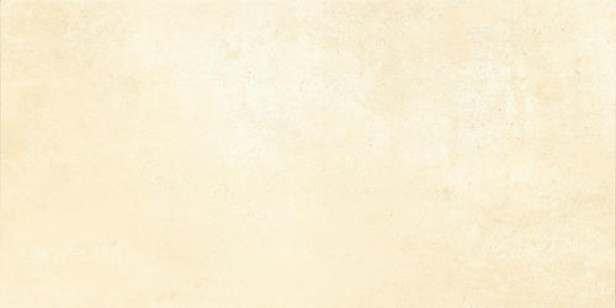 Керамогранит Titan Bone Matt 6012027 60x120 Usak Seramik