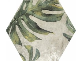 ZYX Amazonia