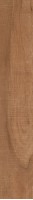 Керамогранит Ibero Ceramicas Artwood Nut Mate 20x120 Керамогранит Ibero Ceramicas Artwood Nut Mate 20x120