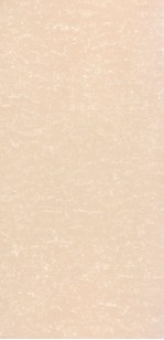 Кварцевый Агломерат Belenco Quartz Mocca Mousse 140x305 5329sm-20-A