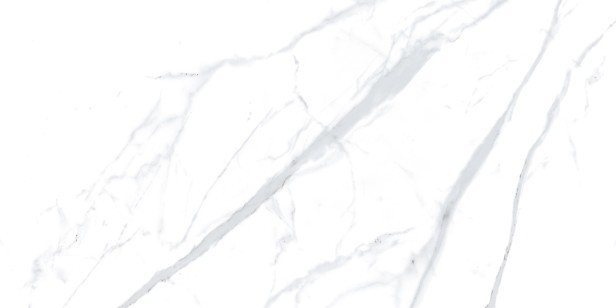 Керамогранит Steppe Ceramics Statuario White неполированный 60x120 ST006012N