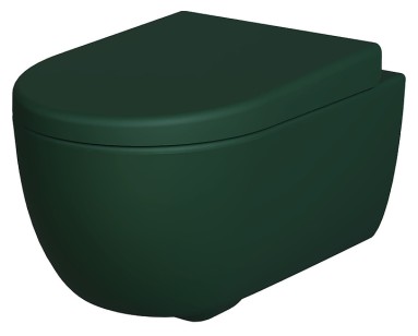 Сиденье для унитаза Ambassador Abner матовое зеленое толстое 102T20701