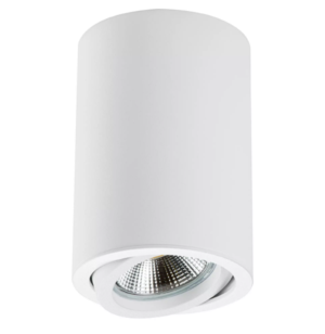 Светильник Lightstar Rullo точечный накладной декоративный под заменяемые галогенные или LED лампы HP16 214406