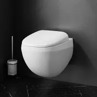 Унитаз Am.Pm Sensation 38.5x55.5x35 C301700WH