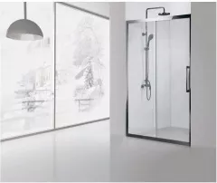 Душевая дверь Aquanet 160.5x200 NPE6121 00183846