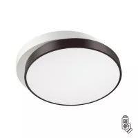 Люстра потолочная Lumion Ledio 4509/72CL