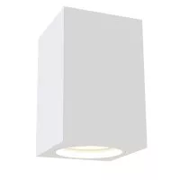 Светильник потолочный Technical Ceiling & Wall C011CL-01W