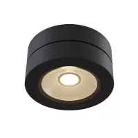 Светильник потолочный Technical Ceiling & Wall C022CL-L12B