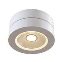 Светильник потолочный Technical Ceiling & Wall C022CL-L12W