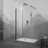 Душевой уголок RGW Walk In 90x100x195 35100590-14