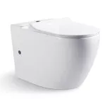 Напольный унитаз компакт Gina белый 36.5x41 Bravat CX01008UW-PA-ENG