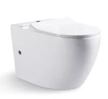 Напольный унитаз компакт Gina белый 36.5x41 Bravat CX01008UW-PA-ENG