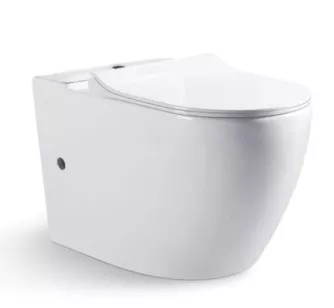 Напольный унитаз компакт Gina белый 36.5x41 Bravat CX01008UW-PA-ENG