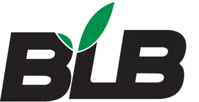 BLB