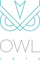 Owl 1975