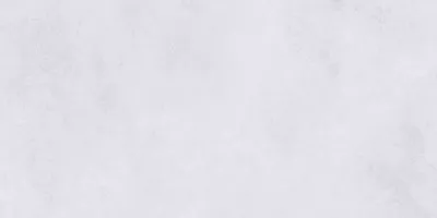 Керамогранит Steppe Ceramics Silent Grey 60x120 SI006012N