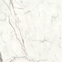 Керамогранит Atlas Concorde Italy Marvel Shine Statuario Supremo Lappato 160x160 A4RQ