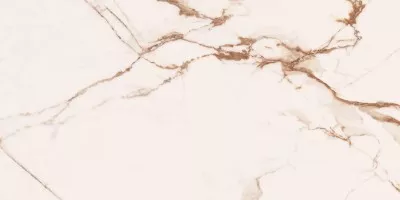 Керамогранит Cerdomus Omnia Macchia Vecchia Levigato 60x120 88930 Керамогранит Cerdomus Omnia Macchia Vecchia Levigato 60x120 88930