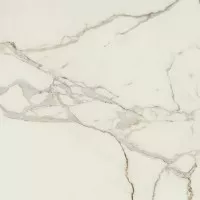Керамогранит AVA Ceramica Marmo E Pietra Calacatta Oro Lapp Rett 120x120 163025