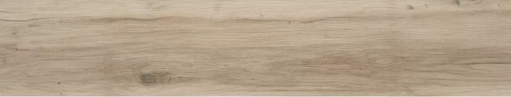 Керамогранит STN Ceramica Blaze Natural Matt Rect 22.7x119.5 N30033