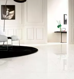 Керамогранит Sina Tile Versace White 60x60 9057