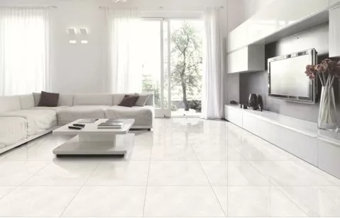 Керамогранит Sina Tile Versace White 60x60 9057