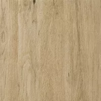 Керамогранит STN Ceramica Balau Antid Natural 60x60 Керамогранит STN Ceramica Balau Antid Natural 60x60