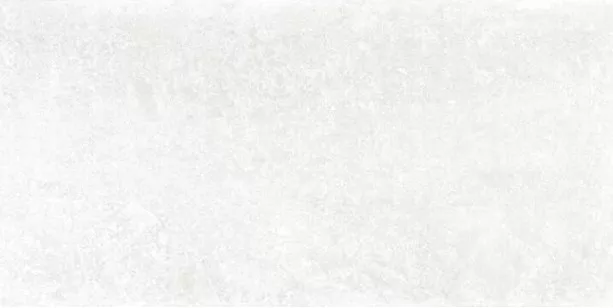 Керамогранит Emil Ceramica Chateau Blanc Lappato 60x120 EFL9