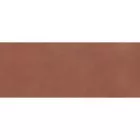Керамогранит Naxos Chromatica Amaranto Nat Ret 40x100 129358