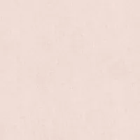 Обои Rasch Textil Amiata 296395 0.53x10.05 флизелиновые Обои Rasch Textil Amiata 296395 0.53x10.05 флизелиновые