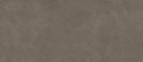 Керамогранит Atlas Concorde Italy Boost Natural Umber 120x278 A67E Керамогранит Atlas Concorde Italy Boost Natural Umber 120x278 A67E
