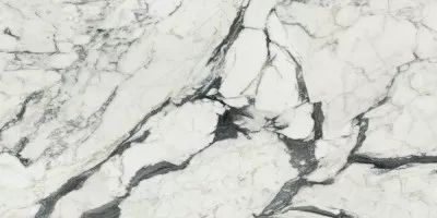 Керамогранит Rex Ceramiche Les Bijoux De Rex Calacatta Altissimo Matt Rett 6mm 60x120 765773 Керамогранит Rex Ceramiche Les Bijoux De Rex Calacatta Altissimo Matt Rett 6mm 60x120 765773