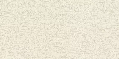 Обои Rasch Poetry 960600 1.06x10 виниловые