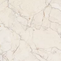 Керамогранит Primavera Elise Beige Carving 60x60 CR110