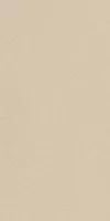 Керамогранит Imola Ceramica Parade Almond 60x120 PRTU 12A RM