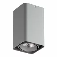 Светильник Lightstar Monocco точечный накладной декоративный под заменяемые галогенные или LED лампы 212539