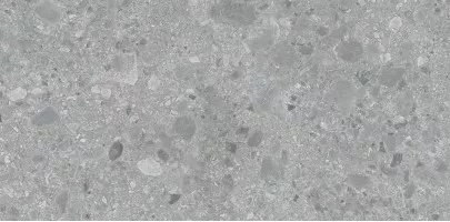 Керамогранит Art and Natura Ceramica Ceppo di Gre Gris Sand Coloured Body 60x120
