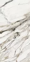 Керамогранит ITT Ceramic Calacatta Paonazzo Polished Rect 60x120 Керамогранит ITT Ceramic Calacatta Paonazzo Polished Rect 60x120