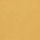 Обои BN International Van Gogh 2 17132 0.53x10.05 виниловые