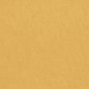 Обои BN International Van Gogh 2 17132 0.53x10.05 виниловые
